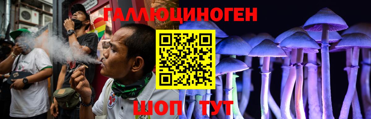 Нерюнгри  Галлюциногенные грибы ЛСД  Вход с VPN  Псилоцибиновые грибы прущие грибы 